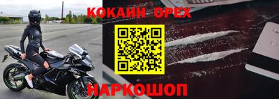 молекула духа Кулебаки