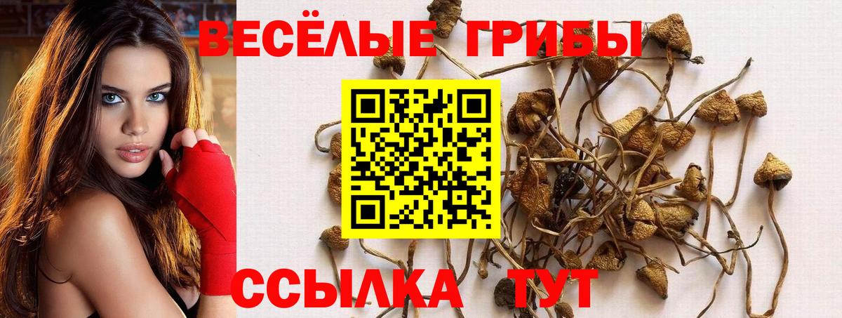 что такое наркотик  Псилоцибиновые грибы мухоморы  Псилоцибиновые грибы прущие грибы  Вход с VPN  Южноуральск 