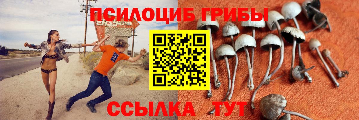 Псилоцибиновые грибы ЛСД Южноуральск